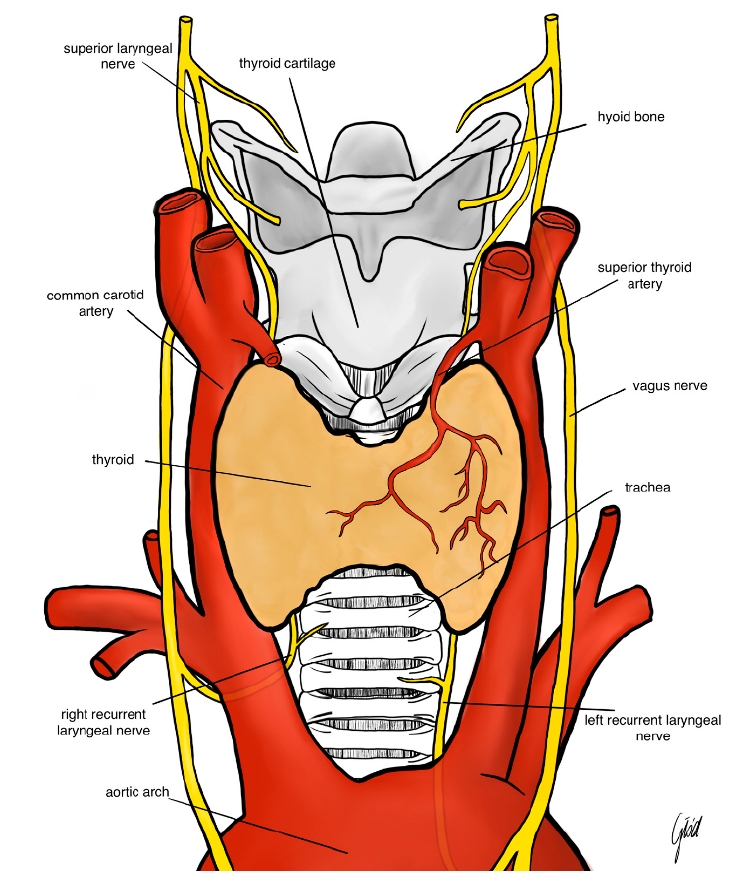 jnn-2024-4-2-111f1.jpg